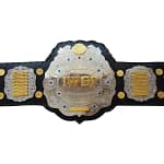 IWGP JR Heavyweight Championship Silver Plates Replica Belt