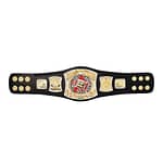 Edge Spinner Championship Kids Replica Title Belt