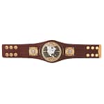 NXT North American Championship Mini Replica Title Belt