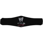 WWE Attitude Era Women’s Championship Kids Replica Title Belt
