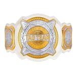 WWE Women's Tag Team Replica Championship Title Belt