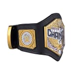 WWE United States Championship Kids Replica Title Belt