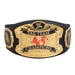 WWE RAW Ruthless Aggression World Tag Team Championship Replica Title Belt