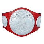 Raw Tag Team Championship Title Belt