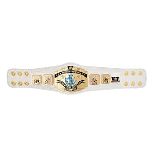 WWE 2014 Intercontinental Championship Kids Replica Title Belt