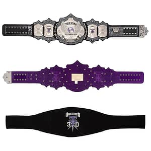 The Undertaker 30 Years Signature Series Championship Kids Title Belt