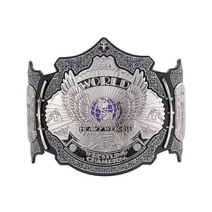 Undertaker 30 Years Signature Series Championship Title