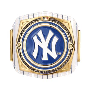 New York Yankees WWE Mini Title Belt