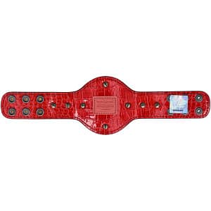 World Heavyweight Championship Mini Replica Title Belt