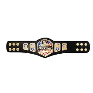 WWE 2014 United States Championship Mini Replica Title Belt