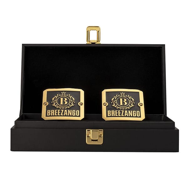 Breezango NXT Side Plates Championship Replica Box Set